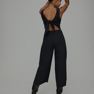 Aritzia Écoulement Jumpsuit